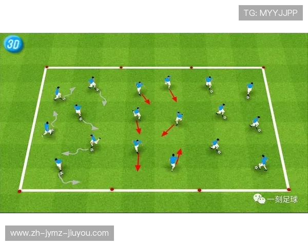 意甲球队青训体系建设评估